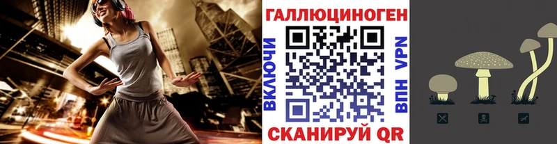 Купить где  Томари  Галлюциногенные грибы прущие грибы 