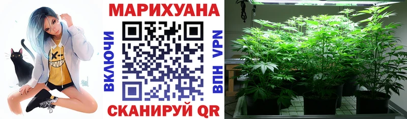 Конопля план  Купить где  Томари 